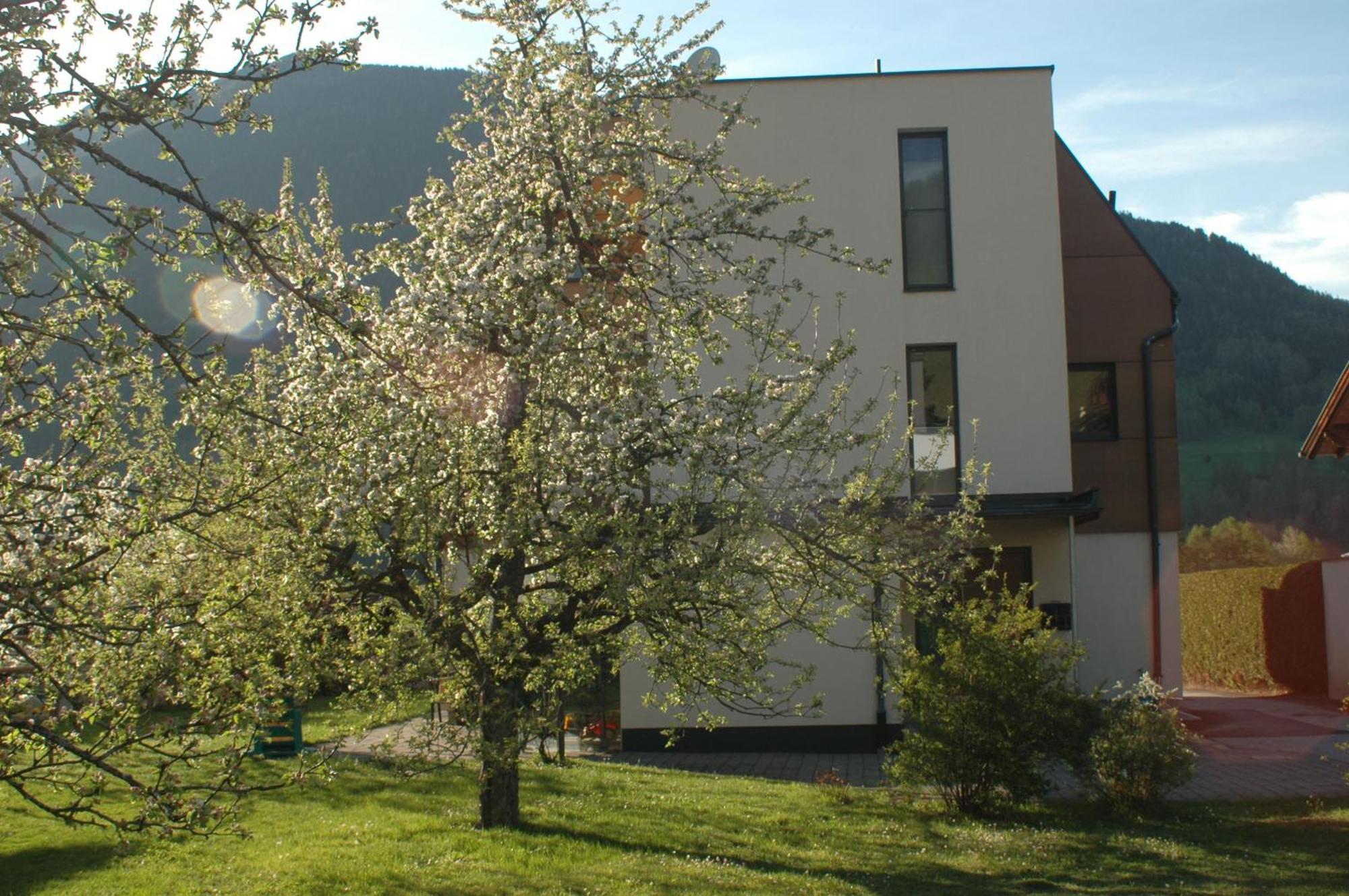 Apartamento Haus Hofer Mieders Exterior foto